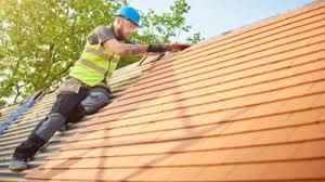Best Skylight Installation and Repair  in Warminster Heights, PA